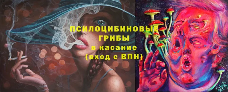 Псилоцибиновые грибы MAGIC MUSHROOMS  где найти   Межгорье 